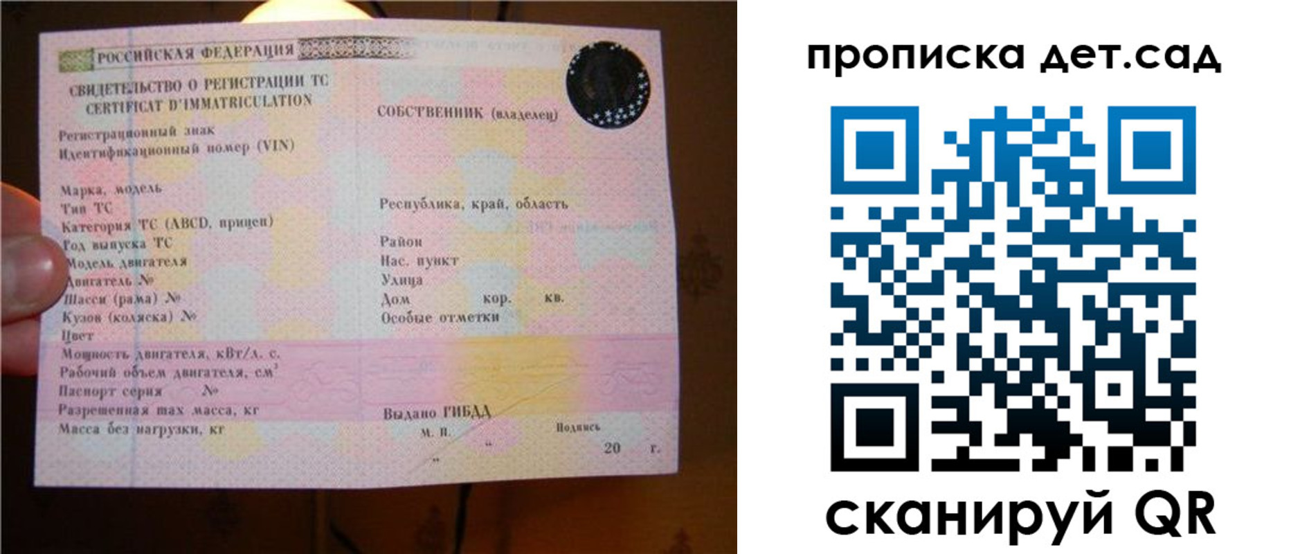 временная регистрация адрес в Светлогорске